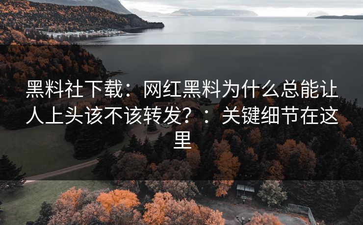 黑料社下载：网红黑料为什么总能让人上头该不该转发？：关键细节在这里