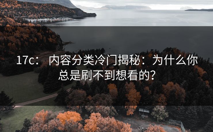 17c： 内容分类冷门揭秘：为什么你总是刷不到想看的？