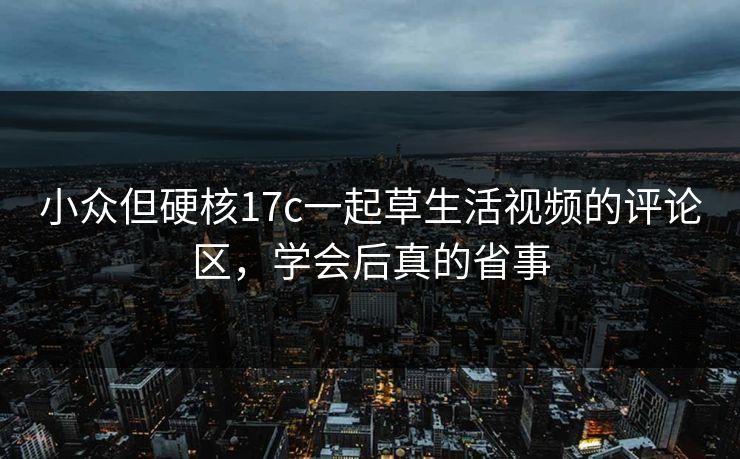 小众但硬核17c一起草生活视频的评论区，学会后真的省事