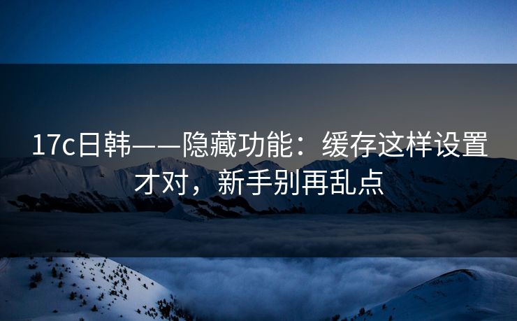 17c日韩——隐藏功能：缓存这样设置才对，新手别再乱点