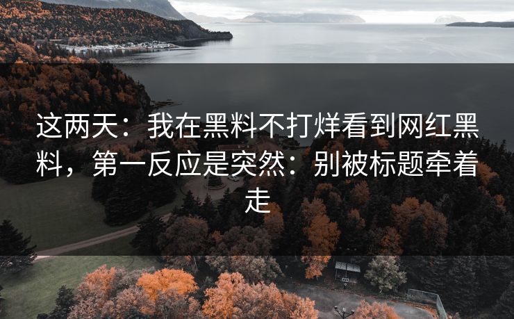 这两天：我在黑料不打烊看到网红黑料，第一反应是突然：别被标题牵着走